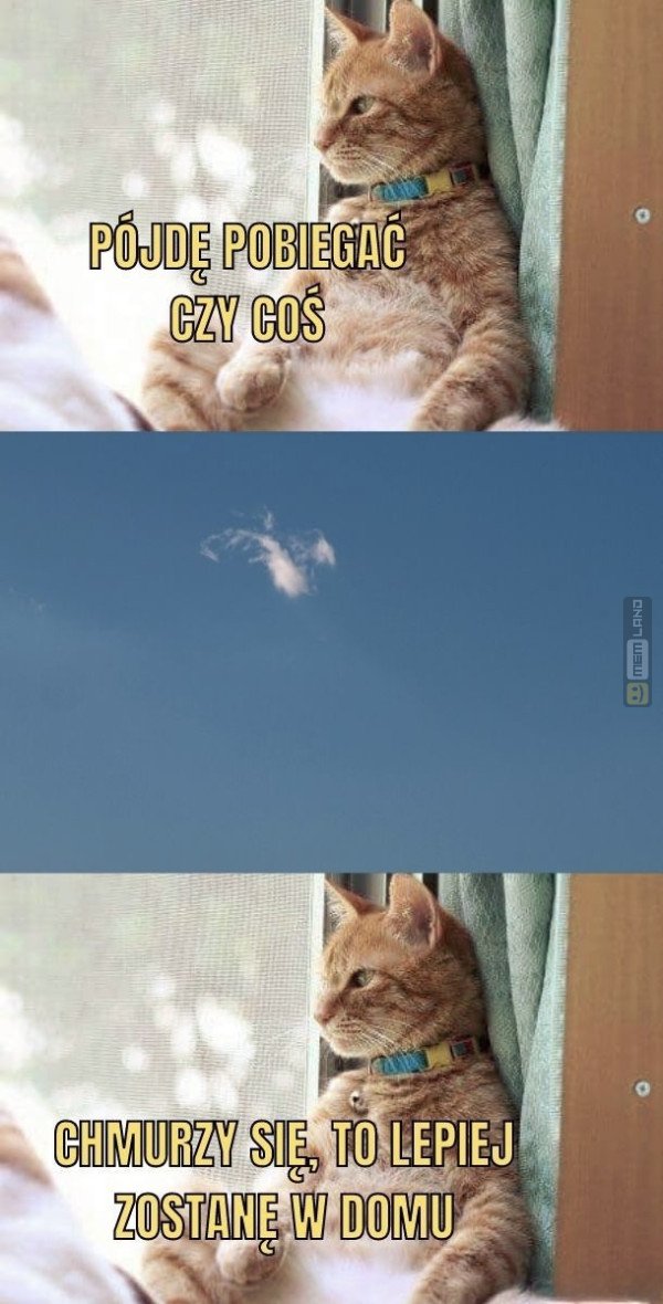 Śmieszny mem: 6976379 - MemLand