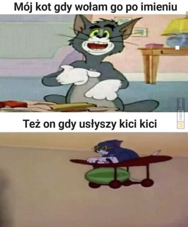 Śmieszny mem: 6982763 - MemLand