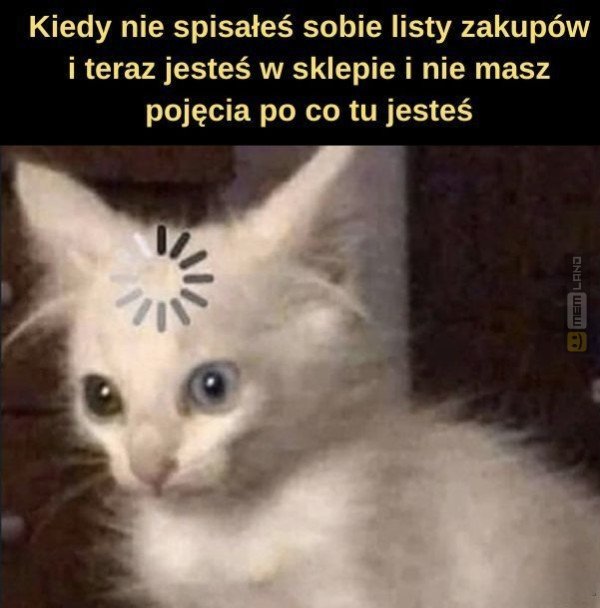 Śmieszny mem: 6983447 - MemLand