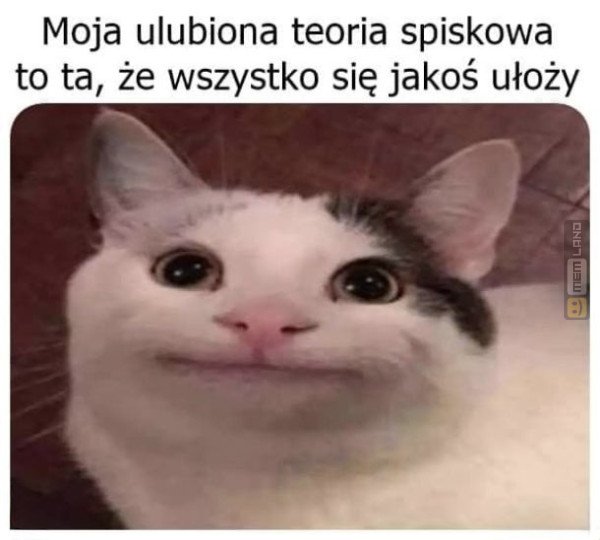 Śmieszny mem: 6990735 - MemLand