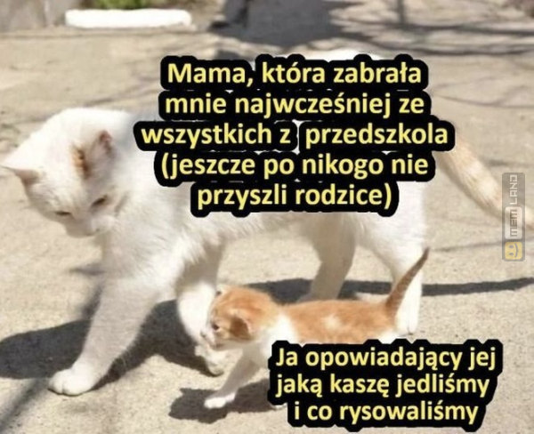 Śmieszny mem: 6999358 - MemLand