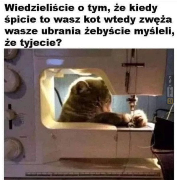 Śmieszny mem: 7000886 - MemLand