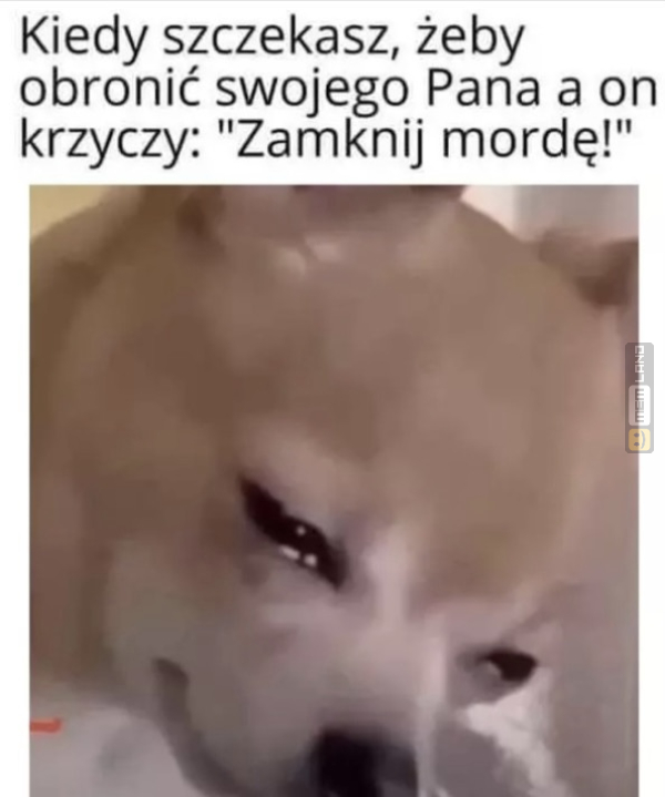 Śmieszny mem: 7003829 - MemLand