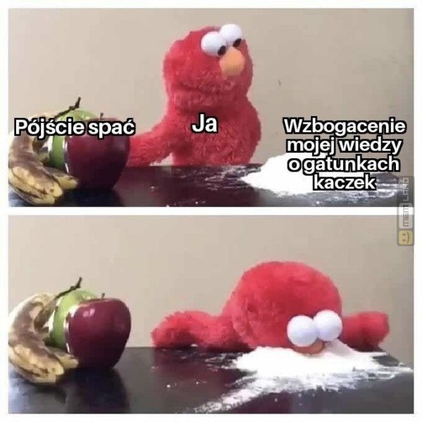 Śmieszny mem: 7007167 - MemLand