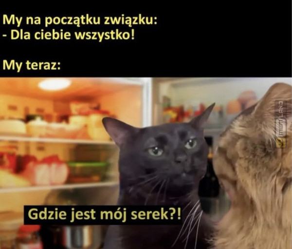 Śmieszny mem: 7010593 - MemLand