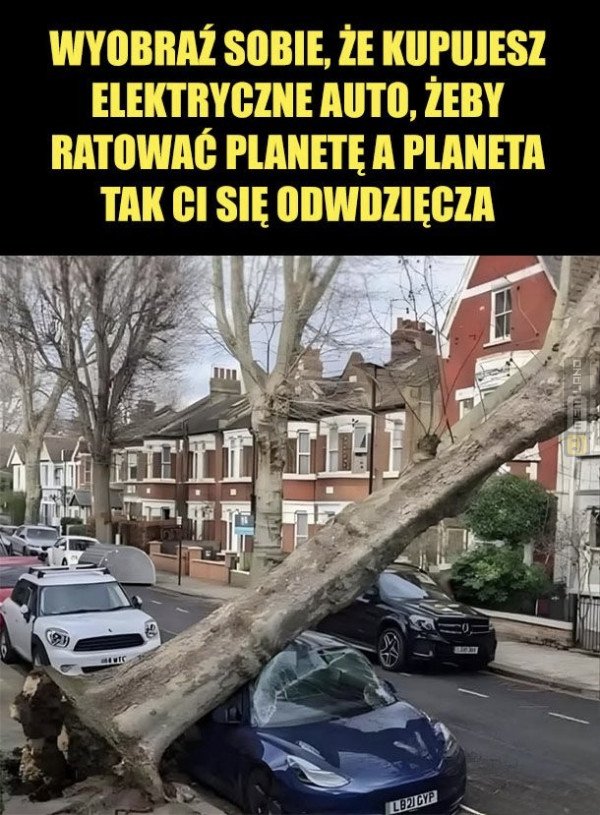 Śmieszny mem: 7019282 - MemLand