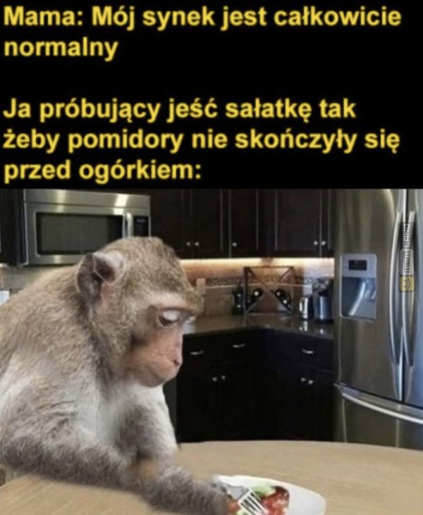 Śmieszny mem: 7022876 - MemLand