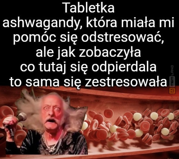 Śmieszny mem: 7032676 - MemLand