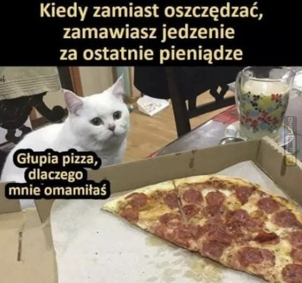 Śmieszny mem: 7034625 - MemLand