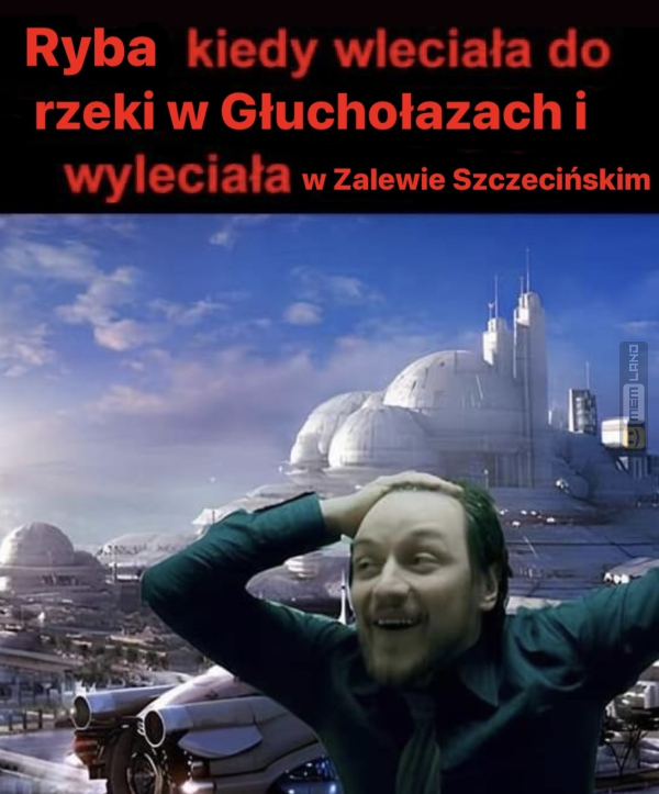 Śmieszny mem: 7034855 - MemLand
