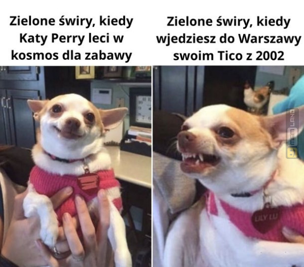 Śmieszny mem: 7036165 - MemLand