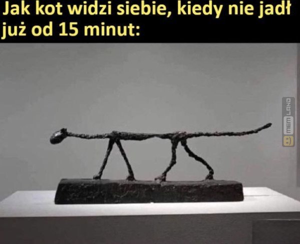 Śmieszny mem: 7039021 - MemLand