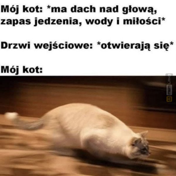 Śmieszny mem: 7044666 - MemLand