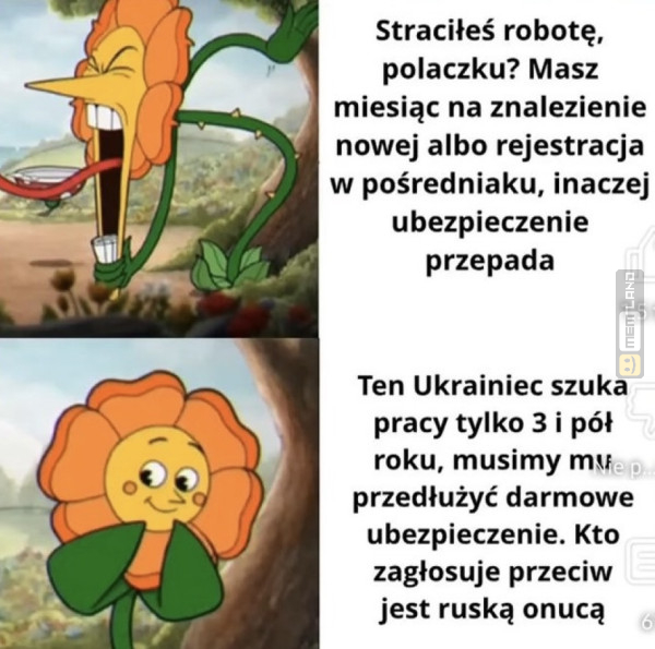 Śmieszny mem: 7046847 - MemLand