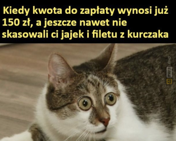 Śmieszny mem: 7047171 - MemLand