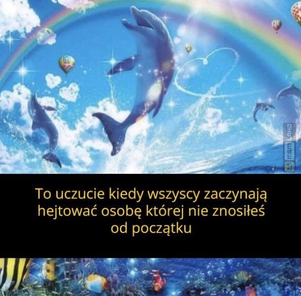 Śmieszny mem: 7048668 - MemLand