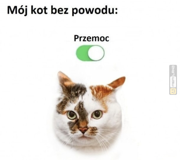 Śmieszny mem: 7049570 - MemLand