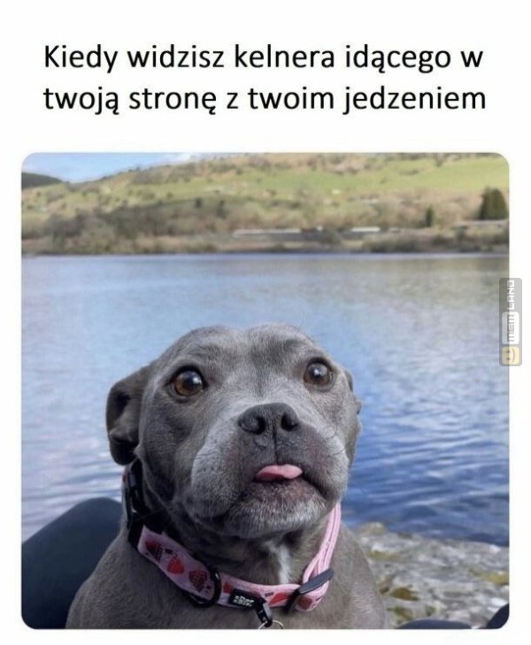 Śmieszny mem: 7052118 - MemLand