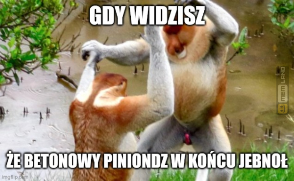 Śmieszny mem: 7052513 - MemLand