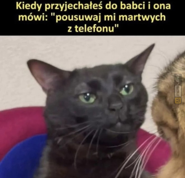 Śmieszny mem: 7053633 - MemLand