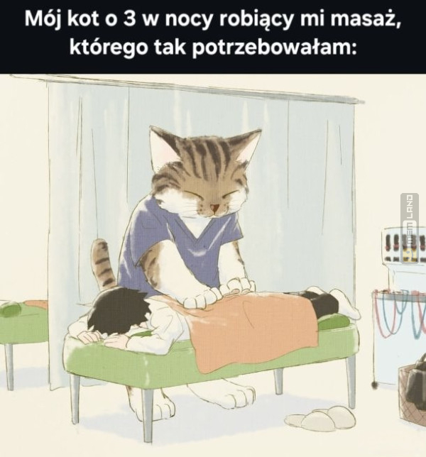 Śmieszny mem: 7063295 - MemLand