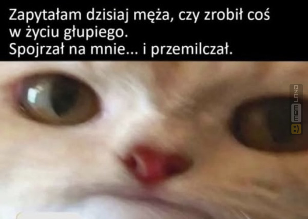 Śmieszny mem: 7070703 - MemLand