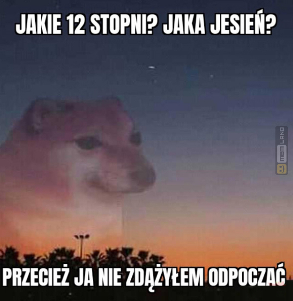 Śmieszny mem: 7078417 - MemLand