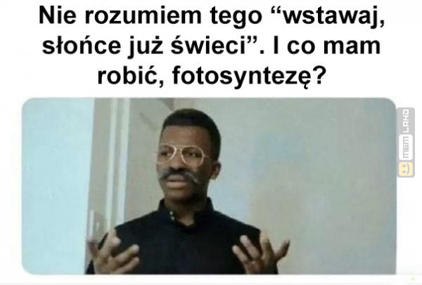 Śmieszny mem: 7083549 - MemLand
