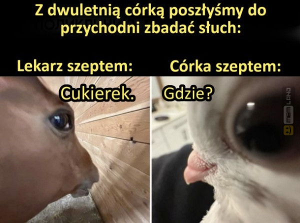 Śmieszny mem: 7083756 - MemLand