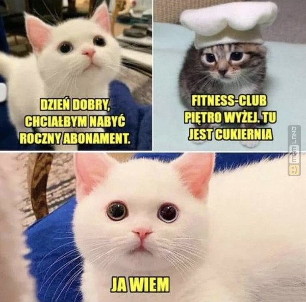 Śmieszny mem: 7086930 - MemLand