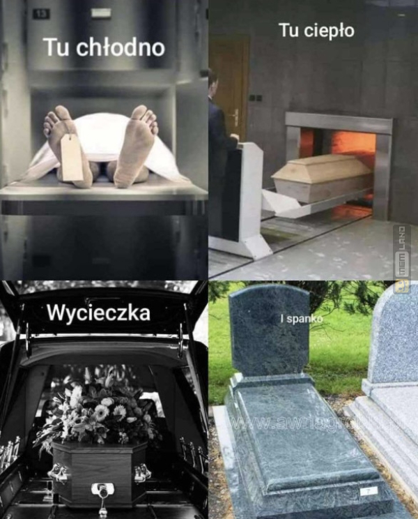 Śmieszny mem: 7089865 - MemLand