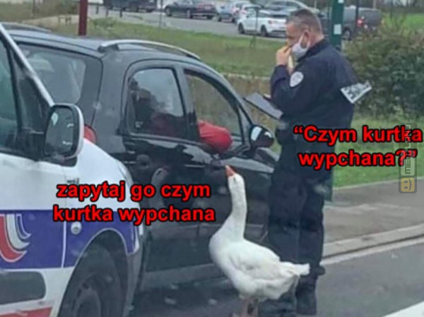 Śmieszny mem: 7092407 - MemLand