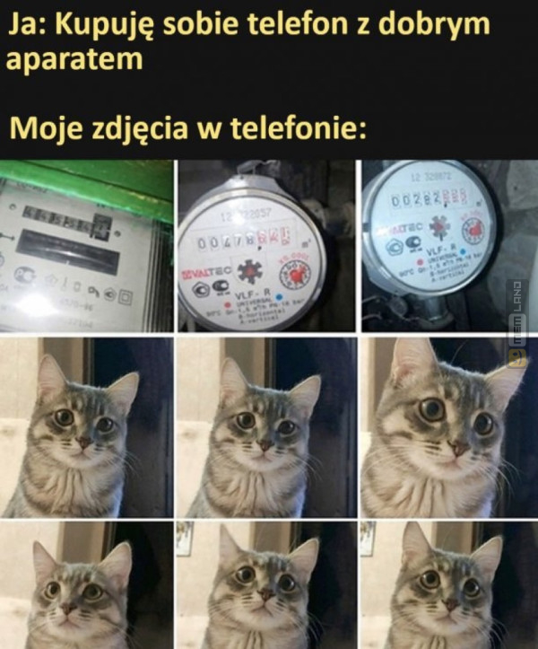 Śmieszny mem: 7094050 - MemLand