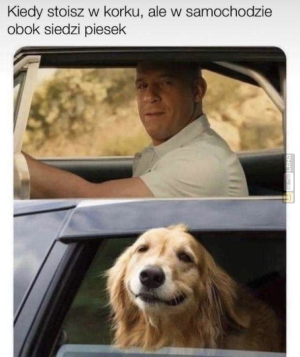 Śmieszny mem: 7096127 - MemLand