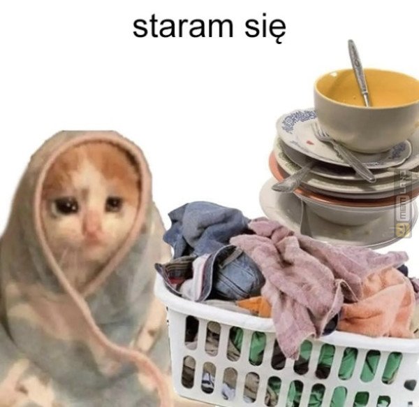 Śmieszny mem: 7097720 - MemLand