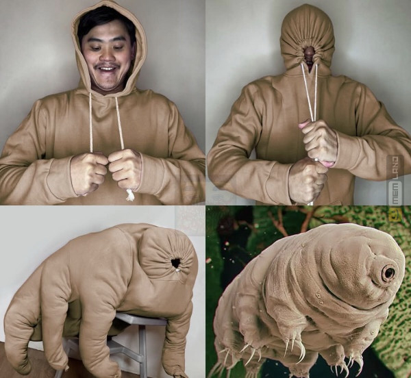 Śmieszny mem: 7100470 - MemLand