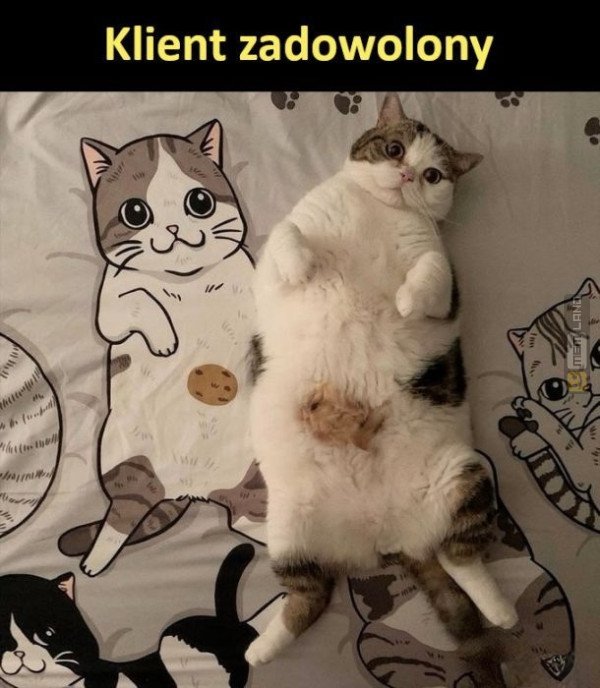 Śmieszny mem: 7103333 - MemLand
