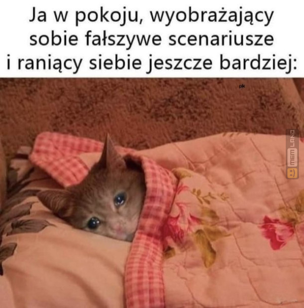 Śmieszny mem: 7107436 - MemLand