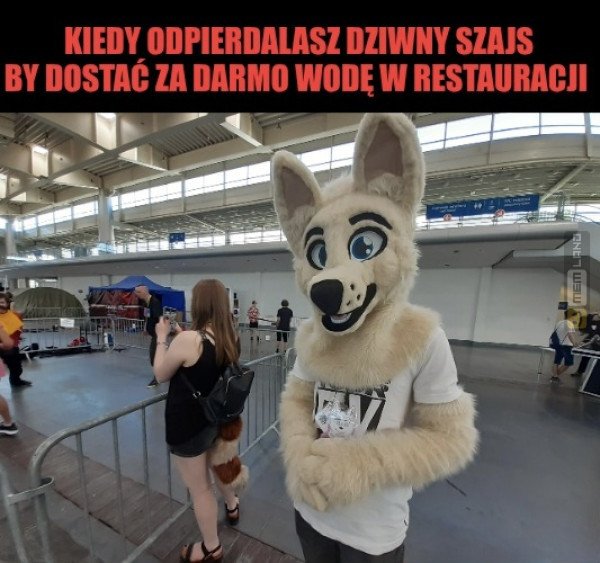 Śmieszny mem: 7109445 - MemLand
