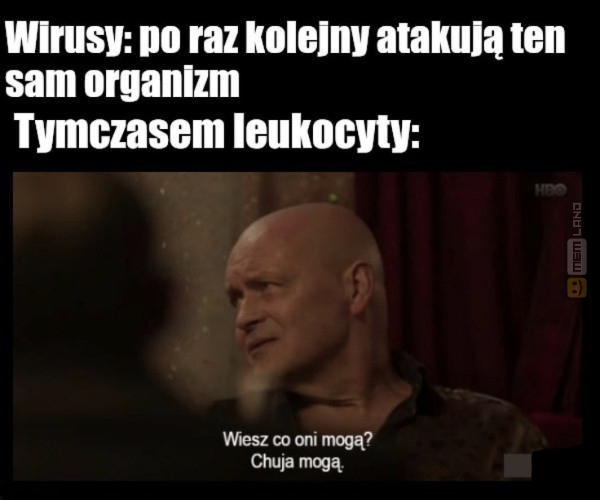 Śmieszny mem: 7110294 - MemLand