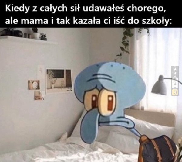 Śmieszny mem: 7112289 - MemLand