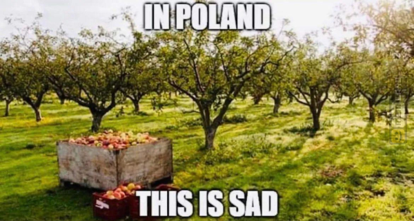 Śmieszny mem: 7120566 - MemLand