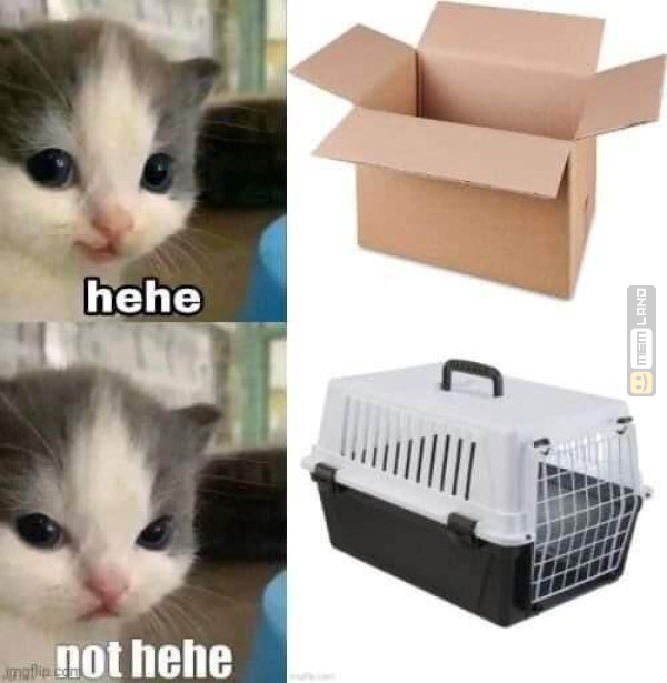 Śmieszny mem: 7127086 - MemLand