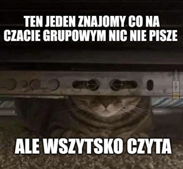 Śmieszny mem: 7137410 - MemLand