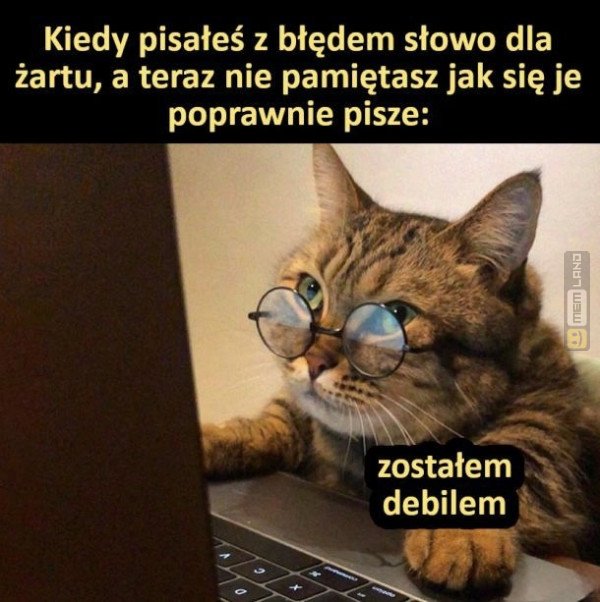 Śmieszny mem: 7145829 - MemLand