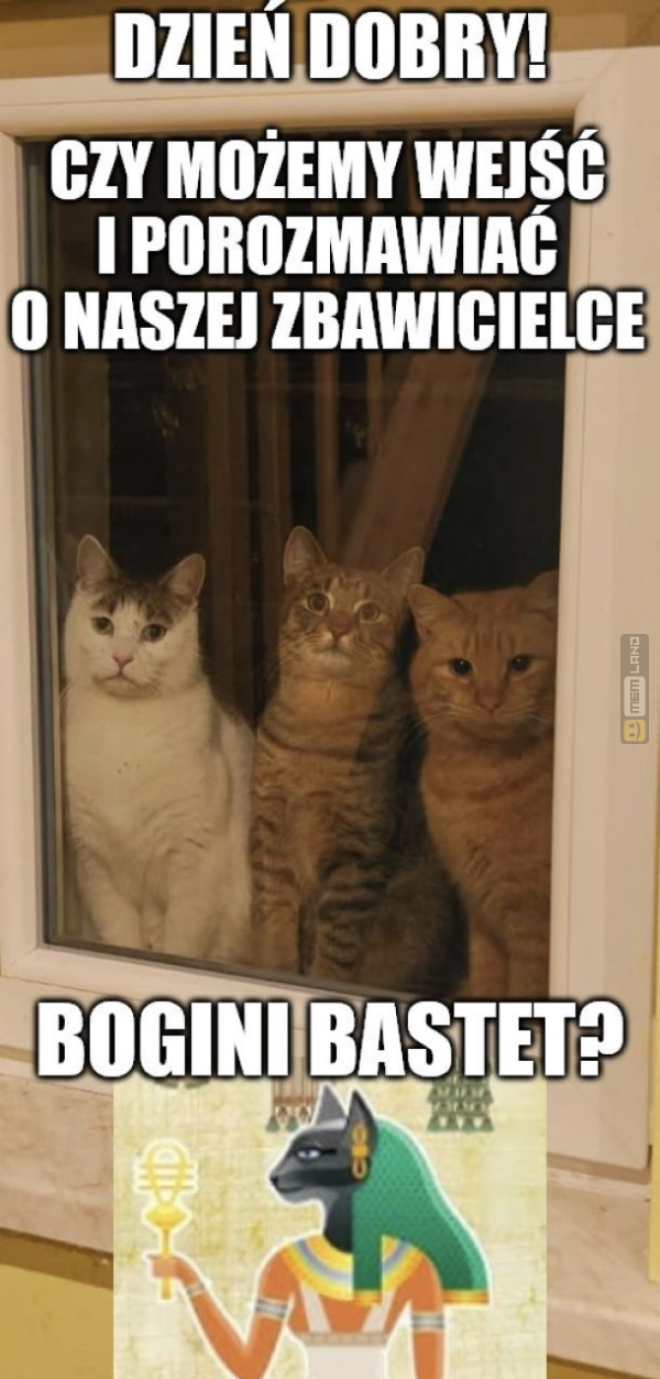 Śmieszny mem: 7148201 - MemLand