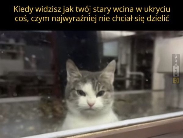 Śmieszny mem: 7150804 - MemLand