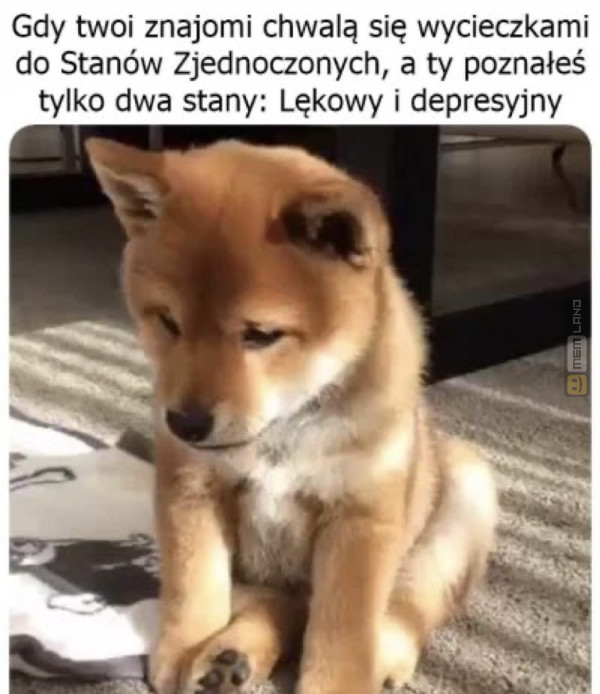 Śmieszny mem: 7160510 - MemLand