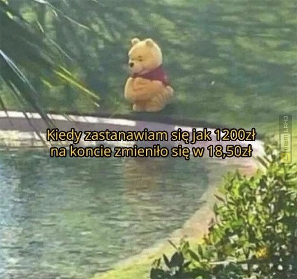 Śmieszny mem: 7169691 - MemLand