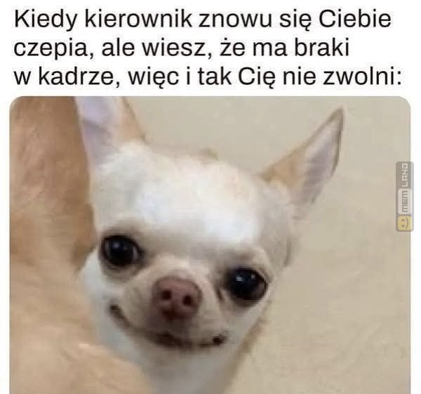 Śmieszny mem: 7172070 - MemLand